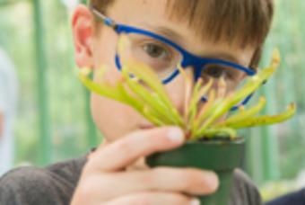 Children and Family Workshop: The Strange and Unusual World of Carnivorous Plants