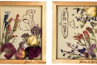 Mountains & Wild Flowers Art Show