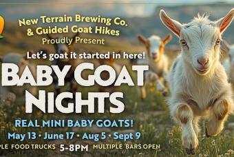 Baby Goat Nights 2026
