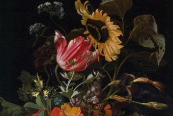 European Art before 1800 Galleries