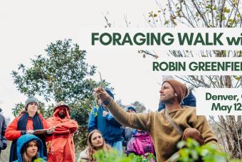 Foraging Walk with Robin Greenfield
