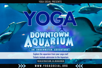 Yoga at the Downtown Aquarium