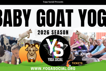 Baby Goat Yoga & Mimosas