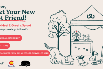 Yappy Hour with Adoptable Pups!