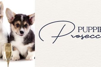 Puppies + Prosecco
