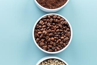 Moonrise Coffee Tasting Experience