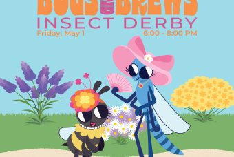 Bugs and Brews: Insect Derby