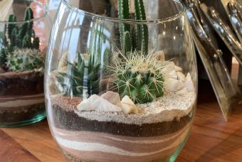 Succulent Terrarium Workshop