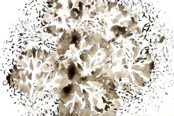 Drawing: Exploring Unconventional Tools