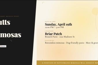 Mutts & Mimosas
