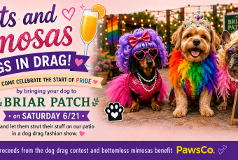 Mutts & Mimosas: Dogs in Drag