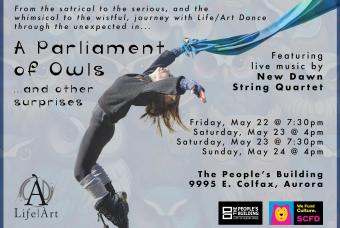 A Parliament of Owls... And Other Surprises