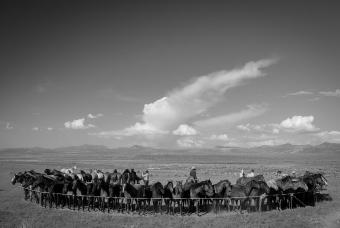 Western Cowboy: Reloaded