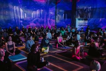 Flexi-Verse: Elemental Journey