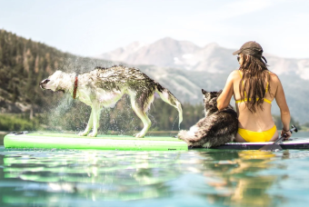Sober Doggo Paddle Day
