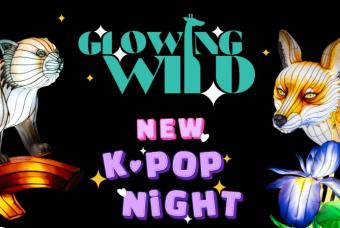 Glowing Wild: K-Pop Night