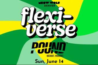 Flexi-Verse: POUND Rockout Workout