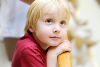 Sensory Friendly Hours at Wings Over the Rockies