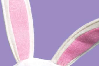 Photos with the Easter Bunny at FlatIron Crossing