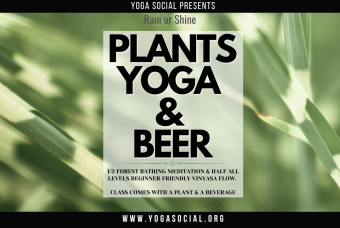 Plants, Yoga & Beer