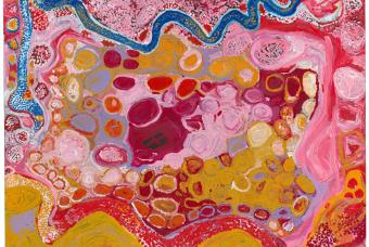 The Stars We Do Not See