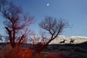Working the West