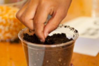 Children and Family Workshop: Savvy Seed Starters