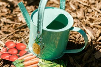 Starting Your Garden from Seed