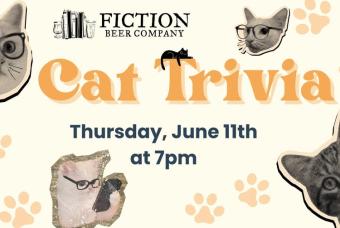 Cat Themed Trivia