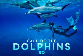 Call of the Dolphins 3D