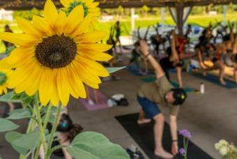 Violins, Vino and Vinyasa Yoga