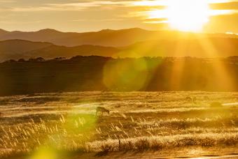 On the Road Again: Scenes from Highway 287