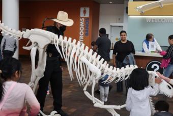 Free Day at the Denver Museum of Nature & Science