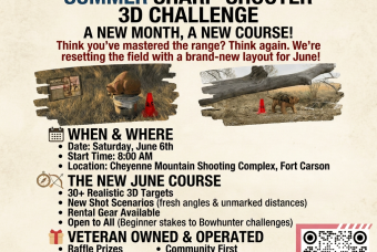 Summer Sharp-Shooter 3D Challenge