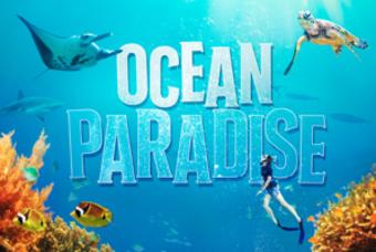 Ocean Paradise 2D