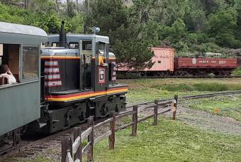 Saturday Train Rides