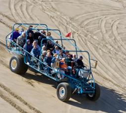 Dune Buggy in Florence by Todd Cooper