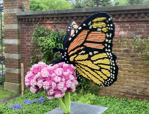 Nature Connects