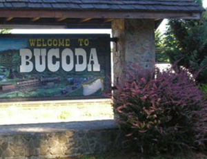 welcome to bucoda sign