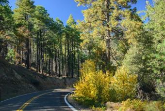 Graham County, AZ | Hotels, Restaurants & Things To Do