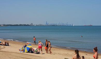 Whihala Beach Whiting