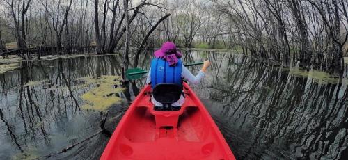 Kayaking at The Heard Natural Science Museum & Wildlife Sanctuary