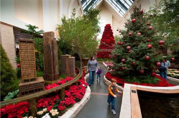 Lauritzen Garden's Poinsettia Show