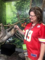 A travel writer feeds Chewbacca the sloth while he hangs upside down at Tanganyika Wildlife Park near Wichita