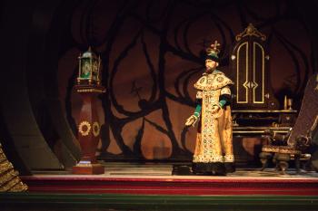 Opera in Focus puppet show