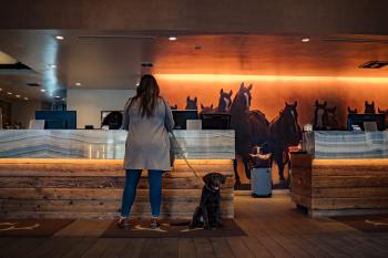 Guest and Dog in Snow King Hotel Lobby