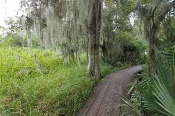 Barataria Preserve in Jefferson Parish