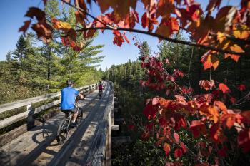 Fall Biking