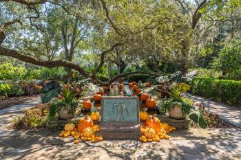Pumpkins and various gourds at Bellingrath Gardens & Home.