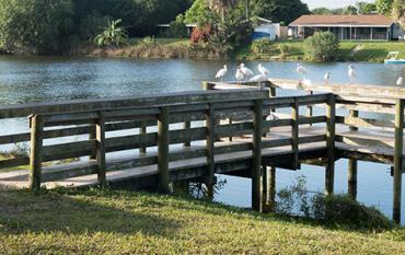 Fishing pier at Lake Betty Park in Port Charlotte, Florida, a multi-use space great for family fishing trips.